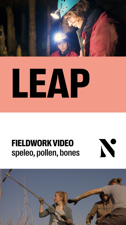LEAP reel thumbnail