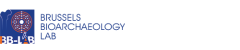 Logo team bb lab