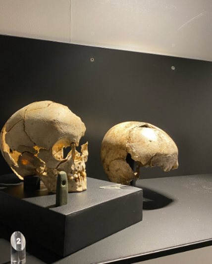 Museum
